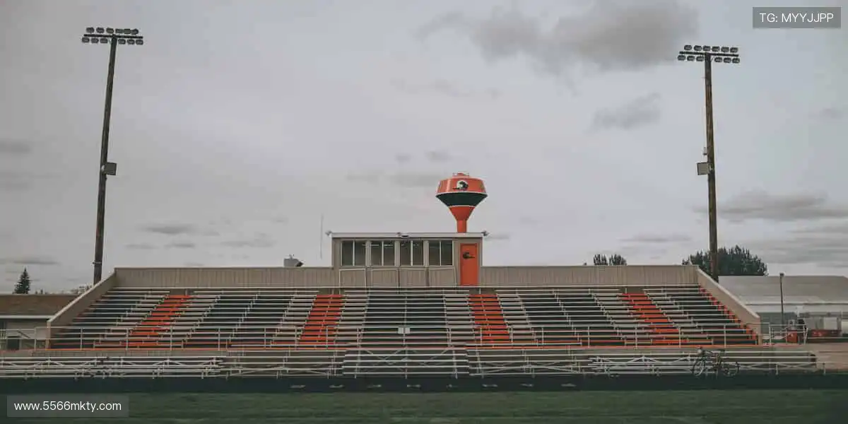 🎁把赛场带回家，让热爱触手可及！